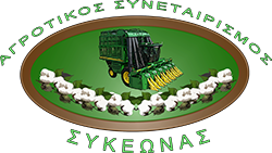 Site logo